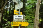 2014-07-05_Laengental-N-Hochweg (236). JPG